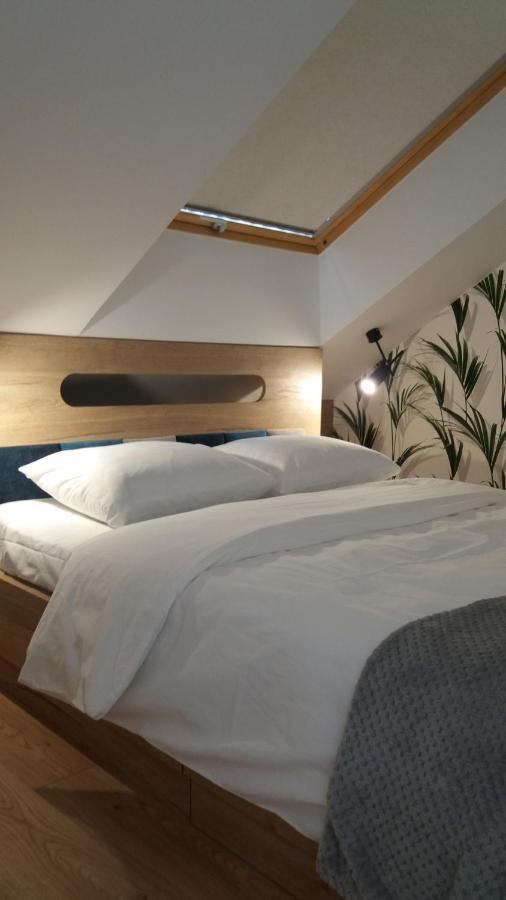 Apartament Limanowskiego คราคูฟ ภายนอก รูปภาพ